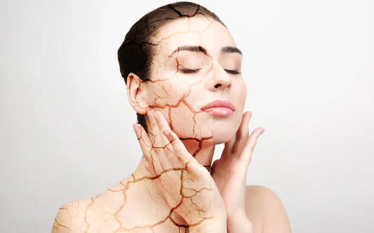 Dry & Dehydrated Skin Treatments
